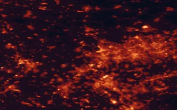 Satellite night-light map of the 50 km around Moers, with Duisburg, Düsseldorf and Essen marked