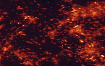 Satellite night-light map of the 50 km around Mönchengladbach, with Köln, Düsseldorf and Duisburg marked