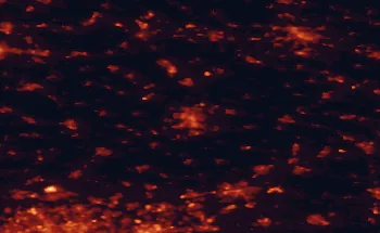 Satellite night-light map of the 50 km around Münster, with Hamm, Osnabrück and Herne marked