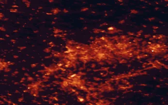 Satellite night-light map of the 50 km around Oberhausen, with Essen, Duisburg and Düsseldorf marked