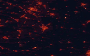 Satellite night-light map of the 50 km around Paderborn, with Bielefeld, Gütersloh and Detmold marked