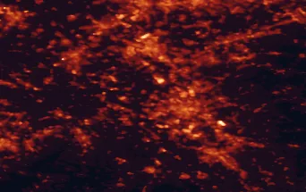 Satellite night-light map of the 50 km around Pulheim, with Köln, Düsseldorf and Wuppertal marked