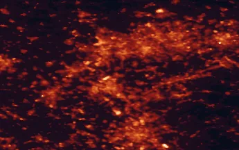 Satellite night-light map of the 50 km around Ratingen, with Düsseldorf, Köln and Duisburg marked