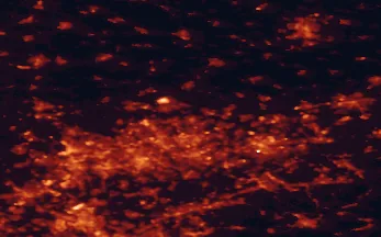 Satellite night-light map of the 50 km around Recklinghausen, with Essen, Dortmund and Bochum marked