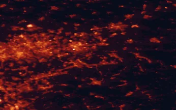 Satellite night-light map of the 50 km around Schwerte, with Dortmund, Essen and Bochum marked