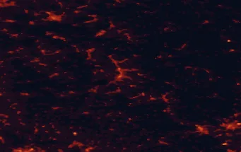 Satellite night-light map of the 50 km around Siegen, with Kreuztal, Netphen and Lüdenscheid marked
