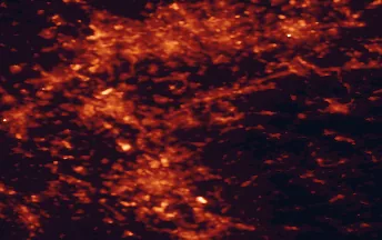 Satellite night-light map of the 50 km around Solingen, with Köln, Düsseldorf and Wuppertal marked