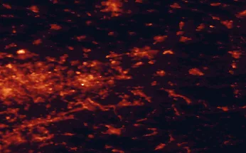 Satellite night-light map of the 50 km around Unna, with Dortmund, Essen and Bochum marked