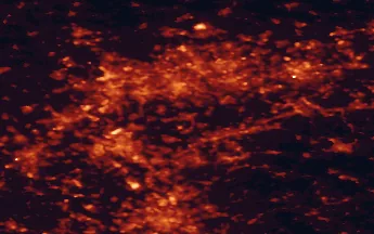 Satellite night-light map of the 50 km around Velbert, with Essen, Düsseldorf and Köln marked