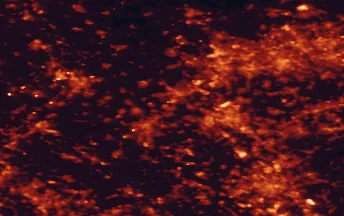 Satellite night-light map of the 50 km around Willich, with Düsseldorf, Köln and Duisburg marked