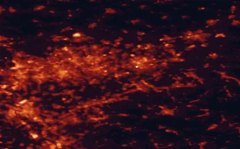 Satellite night-light map of the 50 km around Witten, with Dortmund, Bochum and Essen marked
