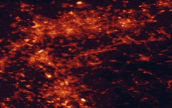 Satellite night-light map of the 50 km around Wuppertal, with Köln, Essen and Düsseldorf marked