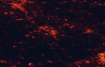 Satellite night-light map of the 50 km around Koblenz, with Bonn, Wiesbaden and Neuwied marked