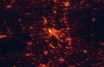 Satellite night-light map of the 50 km around Ludwigshafen am Rhein, with Heidelberg, Darmstadt and Worms marked
