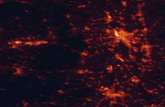 Satellite night-light map of the 50 km around Neustadt an der Weinstraße, with Mannheim, Karlsruhe and Ludwigshafen am Rhein marked