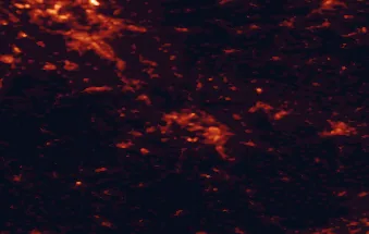 Satellite night-light map of the 50 km around Neuwied, with Bonn, Koblenz and Andernach marked