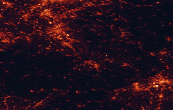 Satellite night-light map of the 100 km around Rhine-Westerwald Nature Park, with Köln, Bonn and Düsseldorf marked