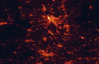 Satellite night-light map of the 50 km around Speyer, with Mannheim, Karlsruhe and Ludwigshafen am Rhein marked