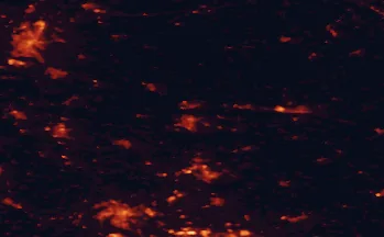 Satellite night-light map of the 50 km around Dessau, with Halle (Saale), Magdeburg and Bitterfeld-Wolfen marked