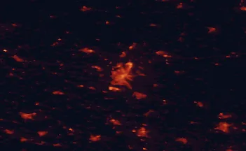Satellite night-light map of the 50 km around Magdeburg, with Schönebeck, Dessau and Burg bei Magdeburg marked