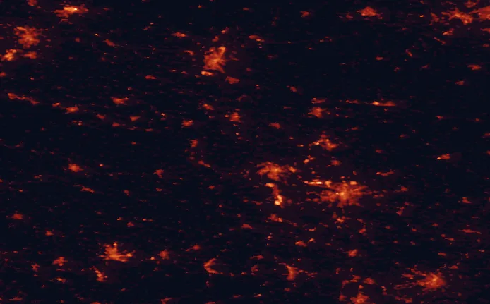 Satellite night-light map of the 100 km around Unteres Saaletal Nature Park, with Leipzig, Halle (Saale) and Magdeburg marked