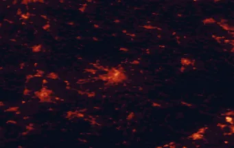 Satellite night-light map of the 50 km around Chemnitz, with Zwickau, Freiberg and Limbach-Oberfrohna marked