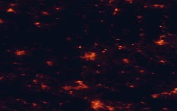 Satellite night-light map of the 50 km around Görlitz, with Liberec, Bautzen and Bolesławiec marked