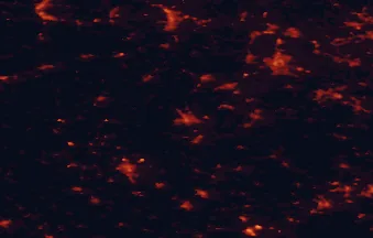 Satellite night-light map of the 50 km around Plauen, with Zwickau, Gera and Hof marked
