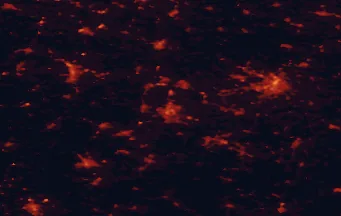 Satellite night-light map of the 50 km around Zwickau, with Chemnitz, Gera and Plauen marked
