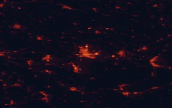 Satellite night-light map of the 50 km around Erfurt, with Jena, Weimar and Gotha marked