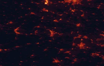 Satellite night-light map of the 50 km around Gera, with Jena, Zwickau and Plauen marked
