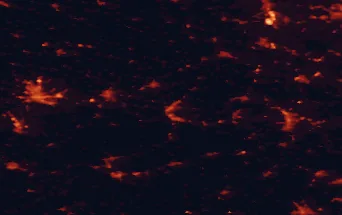 Satellite night-light map of the 50 km around Jena, with Erfurt, Gera and Weimar marked