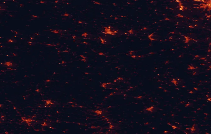Satellite night-light map of the 100 km around Thuringian Forest Nature Park, with Erfurt, Jena and Würzburg marked
