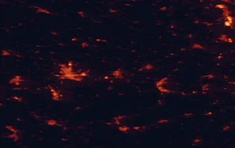Satellite night-light map of the 50 km around Weimar, with Erfurt, Jena and Apolda marked