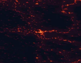 Satellite night-light map of the 50 km around Lamia, with Makrakómi, Fársala and Stylída marked