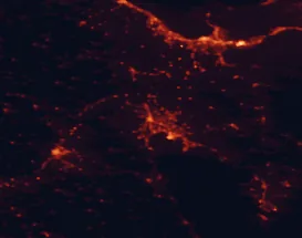 Satellite night-light map of the 50 km around Argos, with Náfplio, Kórinthos and Trípoli marked