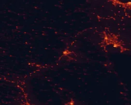 Satellite night-light map of the 50 km around Tripoli, with Árgos, Náfplio and Megalópoli marked
