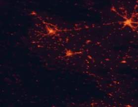 Satellite night-light map of the 50 km around Karditsa, with Lárisa, Tríkala and Makrakómi marked