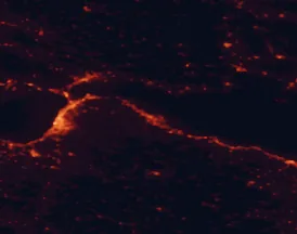 Satellite night-light map of the 50 km around Aigio, with Pátra, Río and Náfpaktos marked