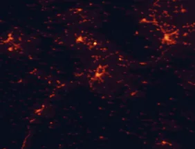 Satellite night-light map of the 50 km around Kozani, with Ptolemaḯda, Véroia and Náousa marked