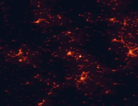 Satellite night-light map of the 50 km around Ptolemaïda, with Kozáni, Véroia and Náousa marked
