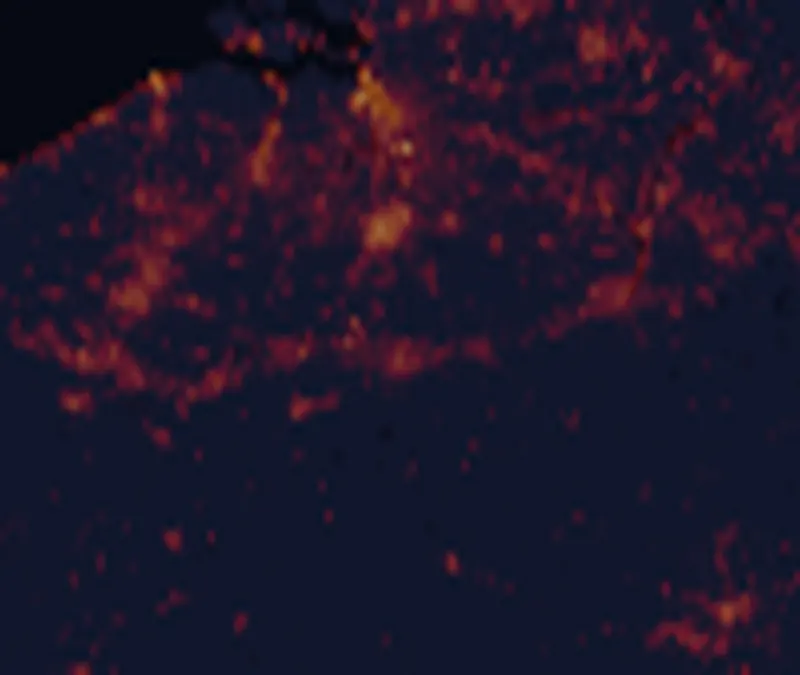 NASA satellite night-lights map of Belgium with every place marked