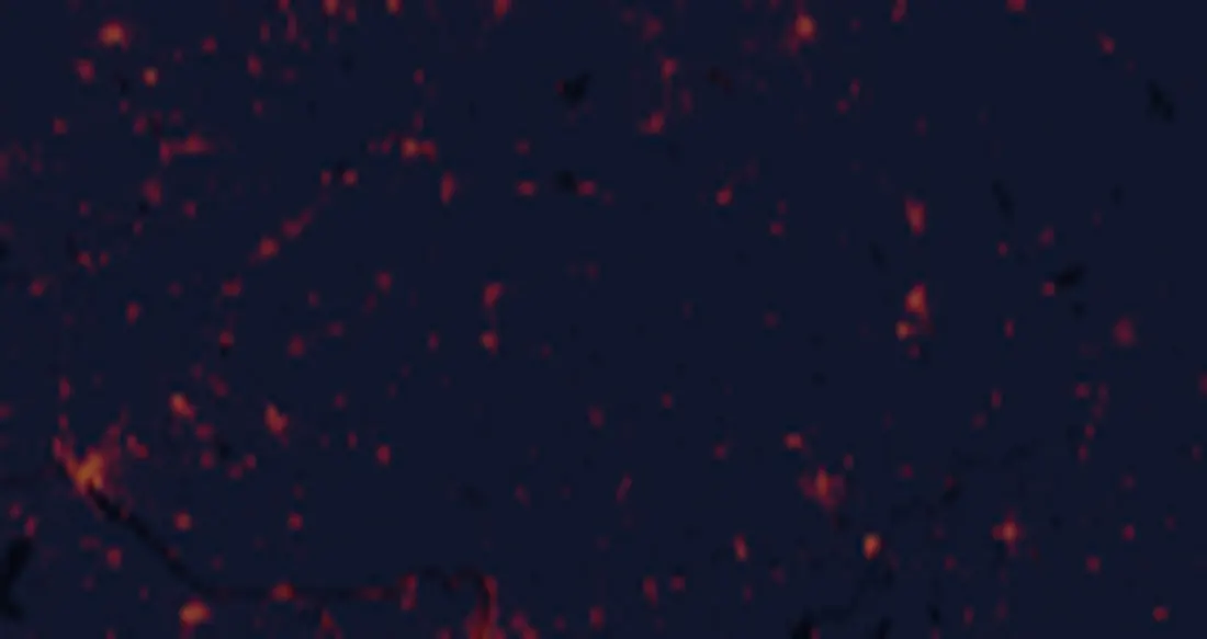 NASA satellite night-lights map of Slovakia with every place marked