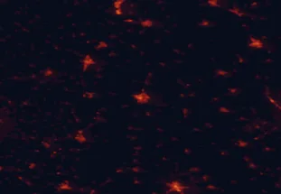 Satellite night-light map of the 50 km around Baja, with Szekszárd, Sombor and Kiskunhalas marked