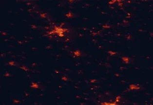 Satellite night-light map of the 50 km around Kiskunfélegyháza, with Kecskemét, Hódmezővásárhely and Szentes marked