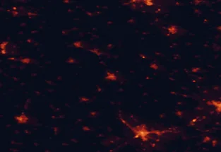 Satellite night-light map of the 50 km around Kiskunhalas, with Subotica, Baja and Kiskunfélegyháza marked