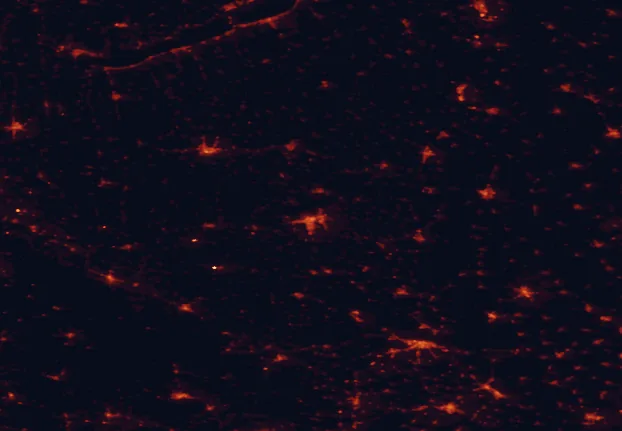 Satellite night-light map of the 100 km around Danube-Drava National Park, with Kaposvár, Osijek and Komló marked