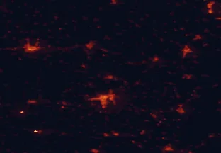 Satellite night-light map of the 50 km around Komló, with Pécs, Kaposvár and Szekszárd marked