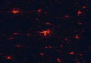 Satellite night-light map of the 50 km around Pécs, with Komló, Kaposvár and Szekszárd marked