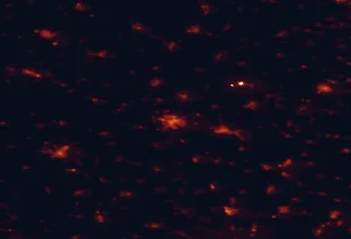 Satellite night-light map of the 50 km around Békéscsaba, with Gyula, Békés and Orosháza marked